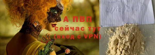 гашик Гусев