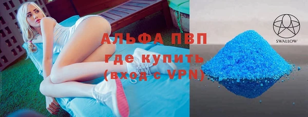 гашик Гусев