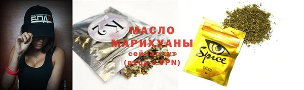 гашик Гусев