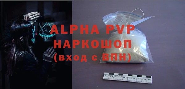 гашик Гусев