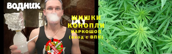 гашик Гусев