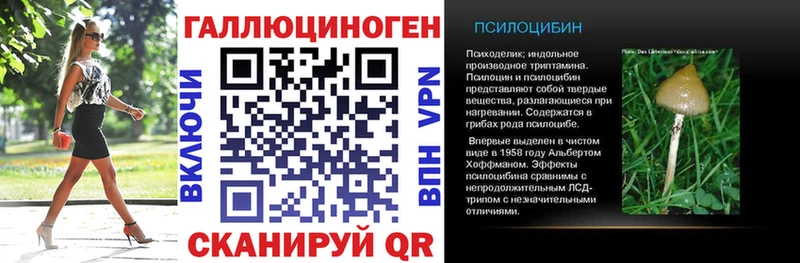 Псилоцибиновые грибы Psilocybe  купить   Кисловодск 