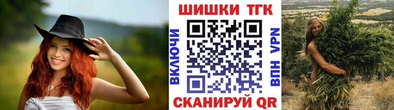 купить наркоту  shop формула  блэк спрут   Конопля SATIVA & INDICA  Кисловодск 